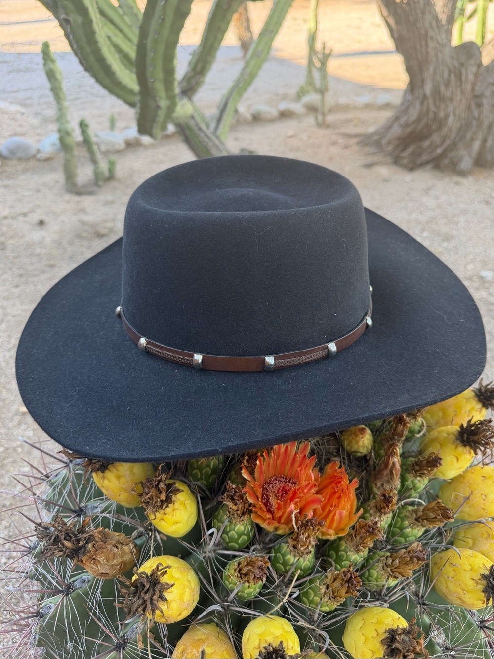 Akubra The Boss 1096 Black Pure Fur Felt Cowboy Hat Men’s 56cm US 7